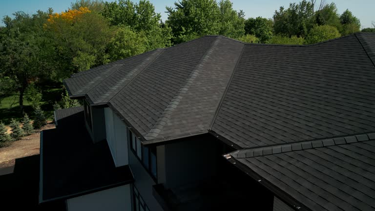 Best Gutter Installation and Repair  in Forestville, OH